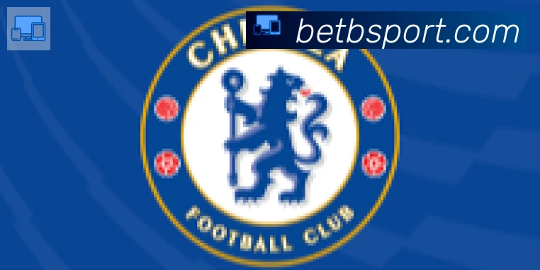 Bsports官网合作伙伴