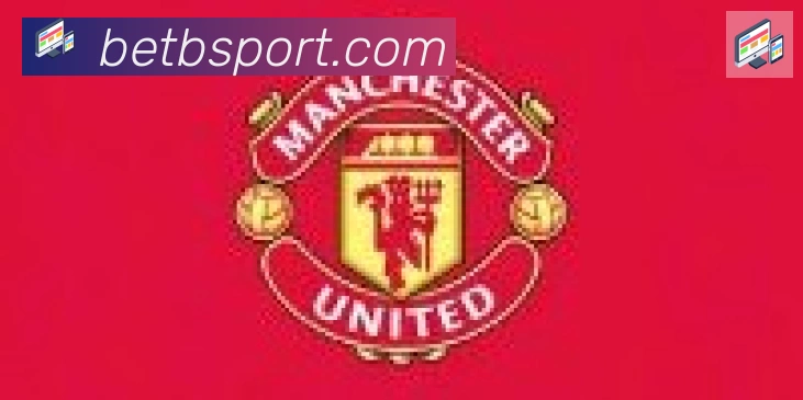 Bsports官网合作伙伴